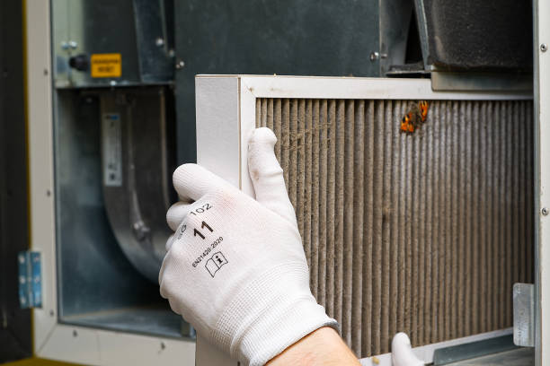Best Affordable HVAC Duct Cleaning  in Valley Center, CA